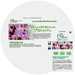 東京都瀬田型市場花き株式会社フローラルコレクション